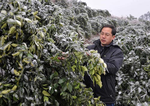 Heavy snow, icy rain wreck havoc in South China