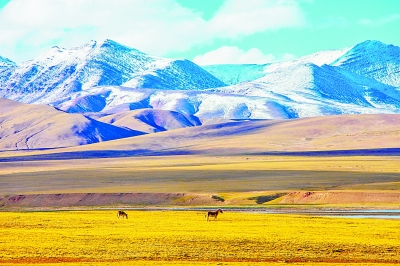 鼓浪嶼與可可西里同入《世界遺產(chǎn)名錄》