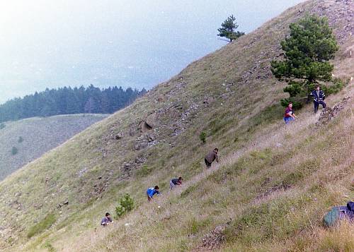 31項(xiàng)遺產(chǎn)列入《人類非物質(zhì)文化遺產(chǎn)代表作名錄》