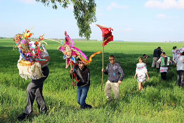 了解更多關(guān)于國際援助和如何申請援助的信息
