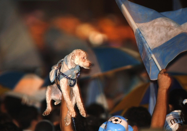 阿根廷隊(duì)兵敗回家 球迷張開懷抱歡迎