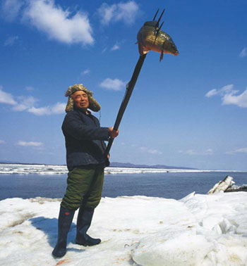 傳統(tǒng)文化與現(xiàn)代文明的對(duì)撞：赫哲族漁獵文化