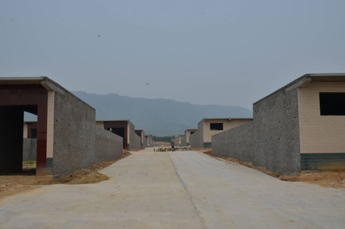 汝州嚴(yán)查四鄉(xiāng)鎮(zhèn)政府造假騙取扶貧款問(wèn)題