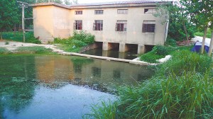 南京一“農(nóng)業(yè)生態(tài)園”養(yǎng)豬場糞水直排秦淮河(圖)