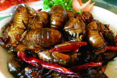 網(wǎng)友評(píng)出江蘇十大“怪菜” 炸蛆、活珠子上榜