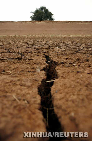 澳大利亞再遭大旱 當(dāng)?shù)剞r(nóng)業(yè)遭受沉重打擊