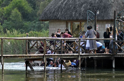 南非婚禮現(xiàn)場露臺坍塌 80名賓客成落湯雞