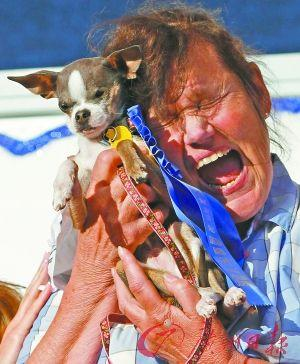 “世界最丑狗”出爐 近親繁殖險遭人道毀滅