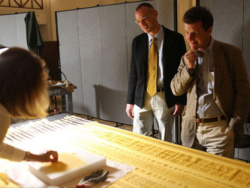 百萬蜘蛛吐絲織成3米圍巾 價(jià)值30萬鎊