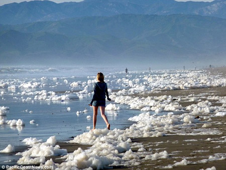 海嘯讓加州海岸成泡泡浴場(chǎng) 新鮮景象難得一見(jiàn)