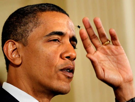 奧巴馬與蒼蠅“結(jié)緣” 演講專訪頻遭飛蟲打斷