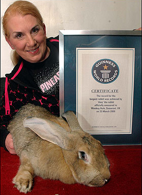 全球體積最大兔離奇去世 疑拍紀錄片怯場誘發(fā)心臟病