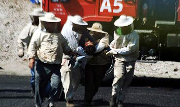 土耳其運(yùn)蜂車出事故 成千上萬蜜蜂蜇人致一死數(shù)十傷