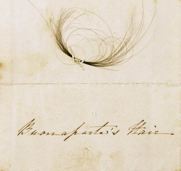 拿破侖頭發(fā)驚現(xiàn)悉尼市政廳 來龍去脈無人知