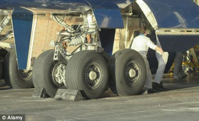 羅男子“差錢”棲身飛機(jī)起落架 高空犯險(xiǎn)奇跡生還