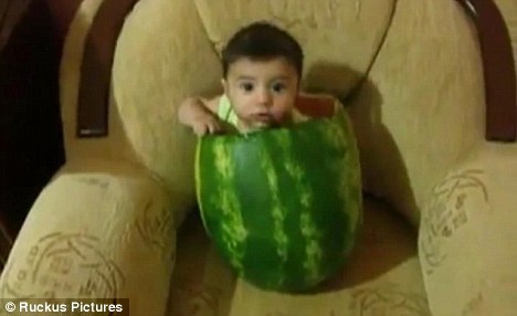 消暑避夏好去處 無(wú)名寶寶鉆西瓜納涼引爆網(wǎng)絡(luò)