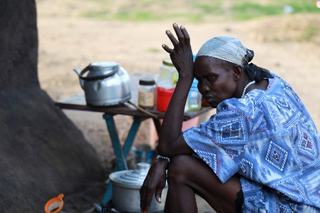 探訪南蘇丹:新國家將面臨巨大挑戰(zhàn)