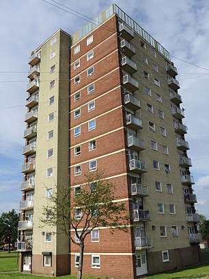 12層高樓摔落基本沒事 英國(guó)小貓被稱“幸運(yùn)星”