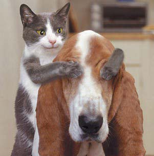 親愛的，猜猜我是誰？