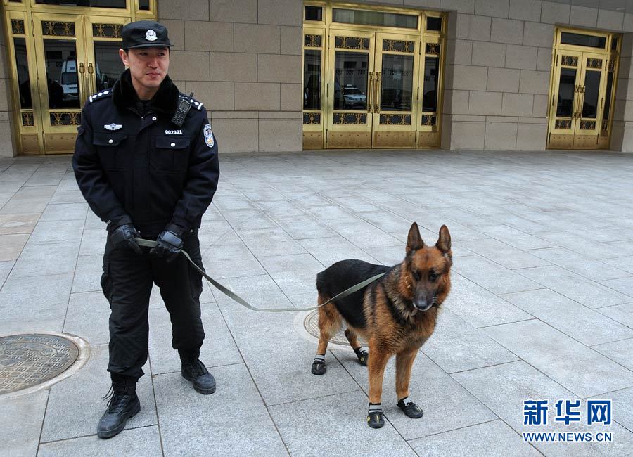 警犬“助陣”兩會安保工作:大會堂內(nèi)細致檢查