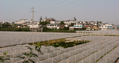 文化的家園 發(fā)展的根脈