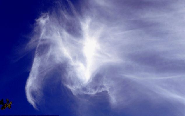 百變?cè)撇驶眚E馬 大自然神奇巧合令人驚嘆