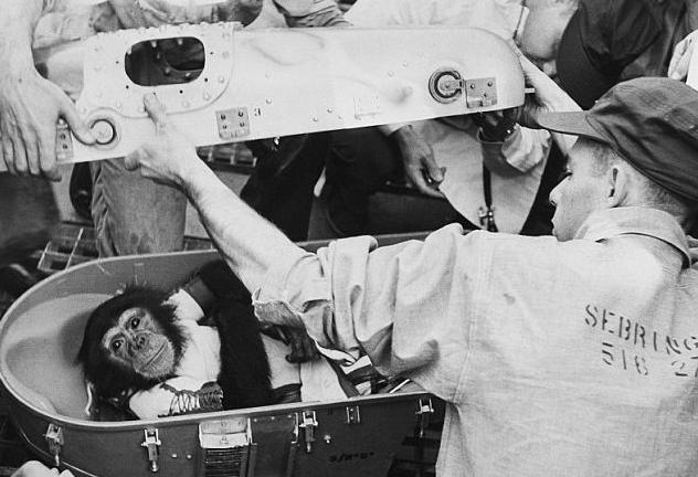 太空先行者:NASA黑猩猩“宇航員”黑白工作照曝光