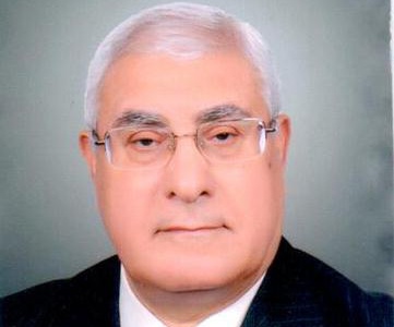 曼蘇爾就任埃及臨時(shí)總統(tǒng) 穆?tīng)栁?#8220;被療養(yǎng)”