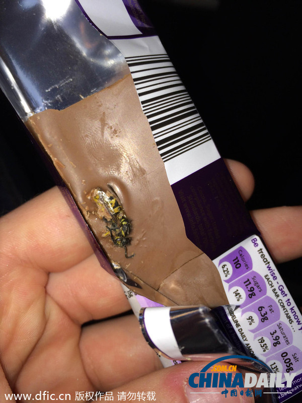 英國大學(xué)生巧克力中吃出完整大黃蜂尸體