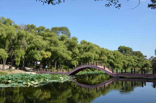 獨家承辦 砂石行業(yè)“世邦杯”攝影、書畫大賽展現(xiàn)深厚文化底蘊