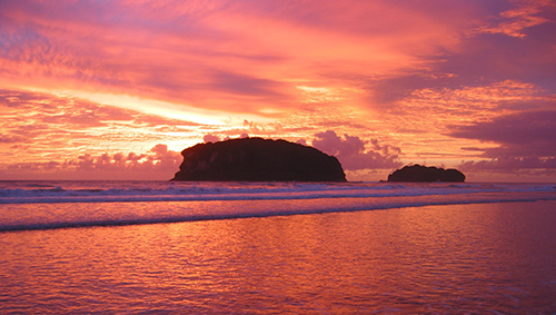 春節(jié)反季游 新西蘭14天旅行指南