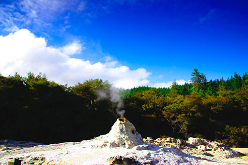 春節(jié)反季游 新西蘭14天旅行指南