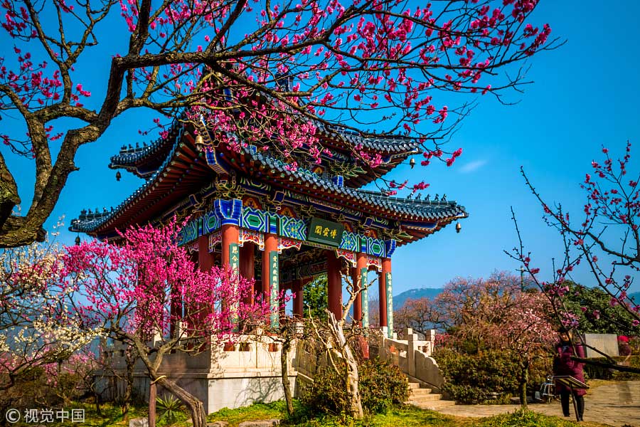 踏青季：春天盛開(kāi)的9種鮮花 哪一種最美？（組圖）