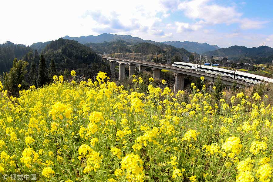 踏青季：春天盛開的9種鮮花 哪一種最美？（組圖）