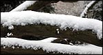 The weather 和天氣有關(guān)的地道英語(yǔ)表達(dá)