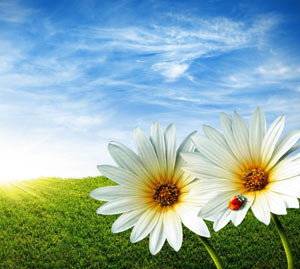 六招防止蚊蟲(chóng)叮咬