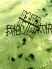 為何快樂(lè)的時(shí)間溜得快
