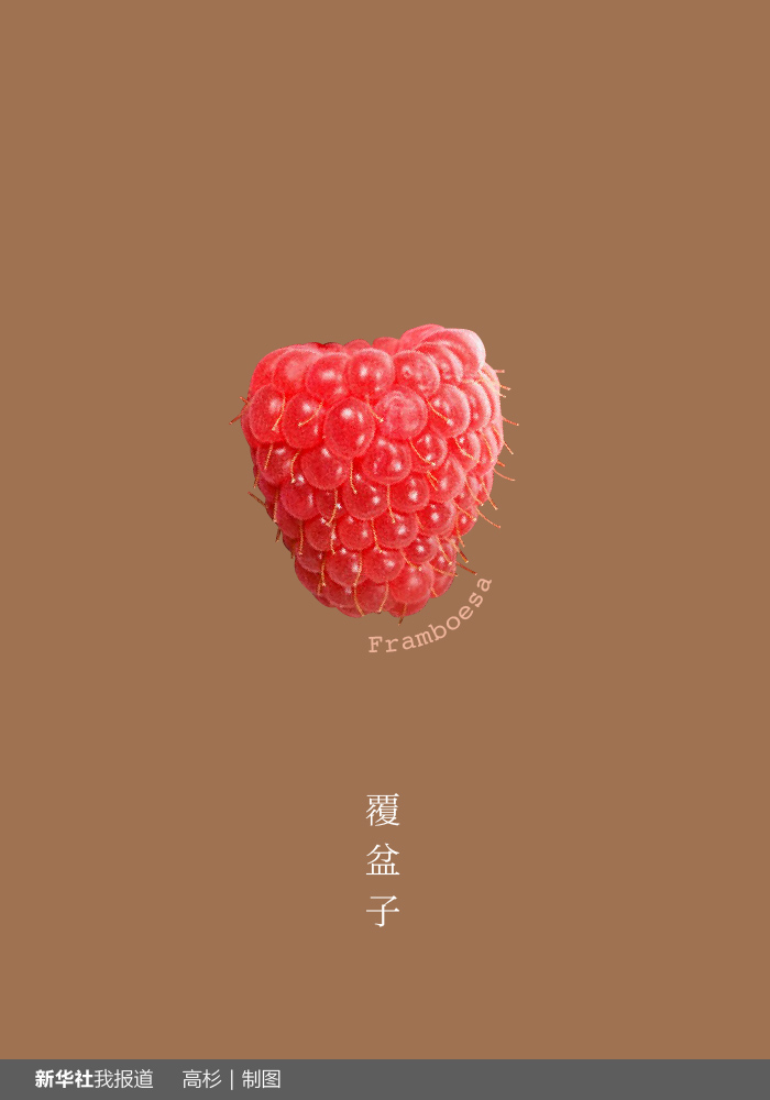 “瘋狂水果城”里約：給你點(diǎn)顏色瞧瞧！