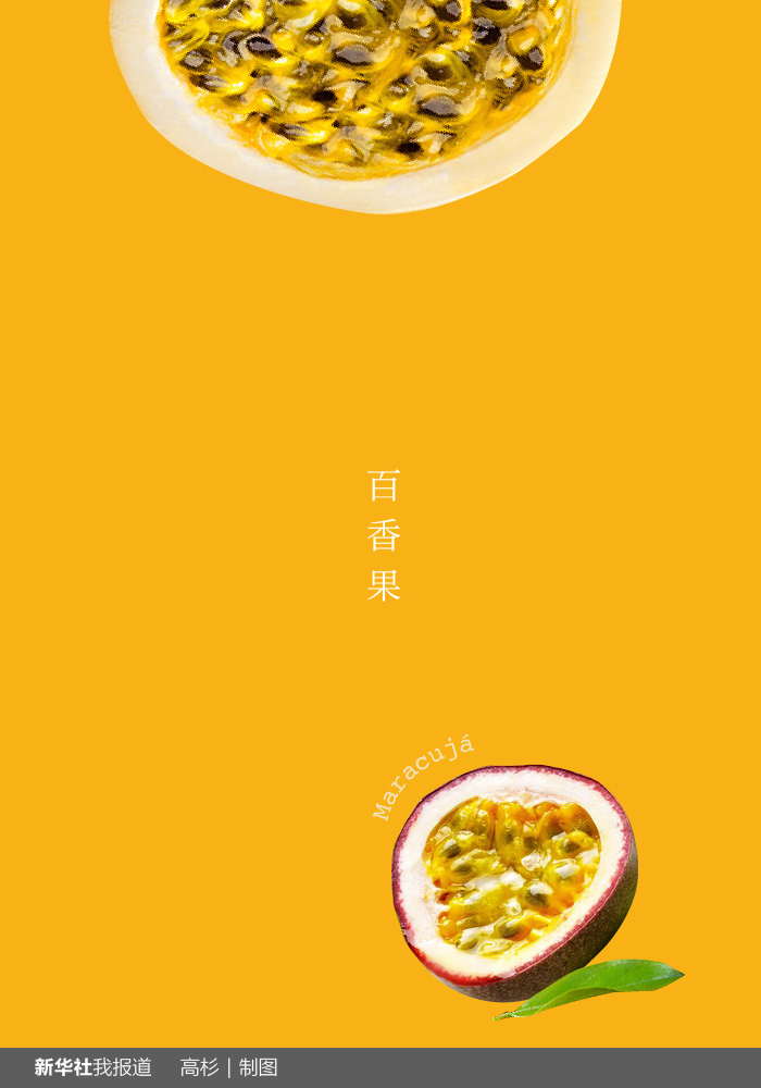 “瘋狂水果城”里約：給你點(diǎn)顏色瞧瞧！