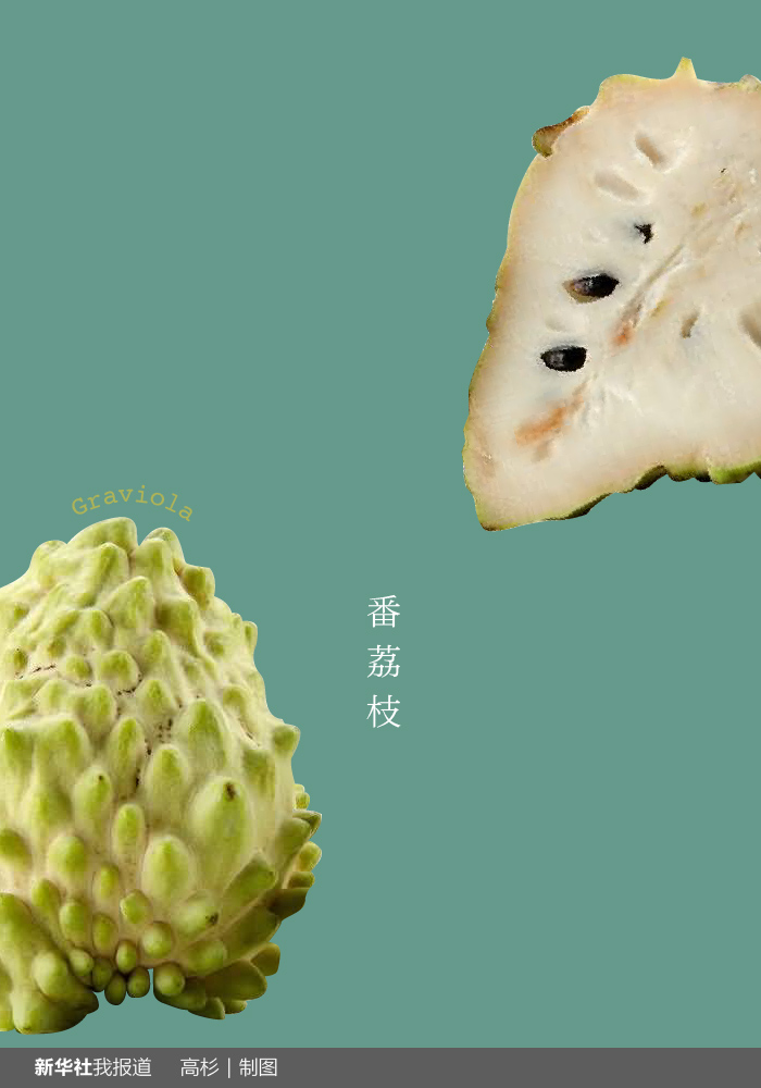 “瘋狂水果城”里約：給你點(diǎn)顏色瞧瞧！