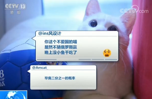 貓咪接班章魚保羅擔任世界杯“官方預言家”