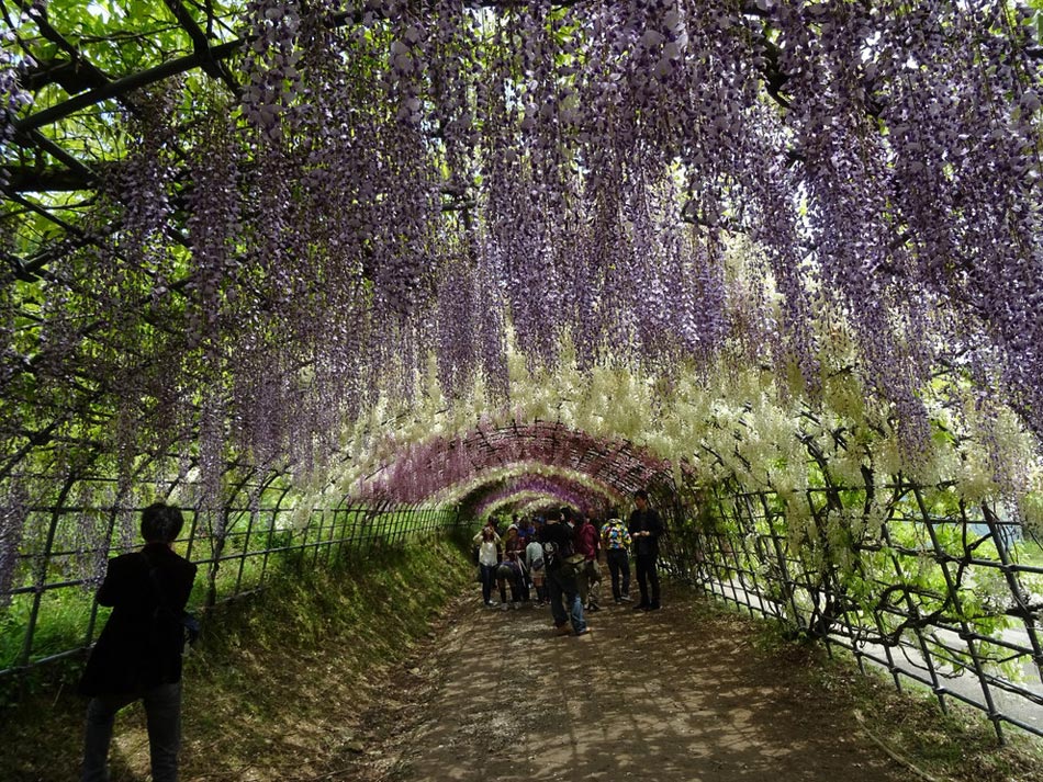 繽紛、靈動(dòng)、斑斕：世界上最美的18座花園