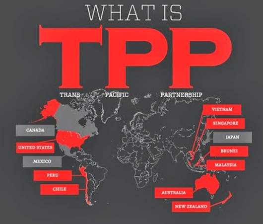 什么是“TPP”？