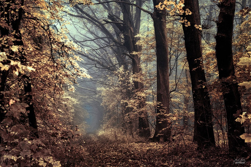 如夢(mèng)似幻的秋景美圖大賞