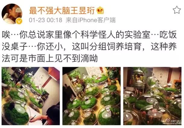 像最強大腦“水哥”這樣的神級人物，要用怎樣的英文詞來形容