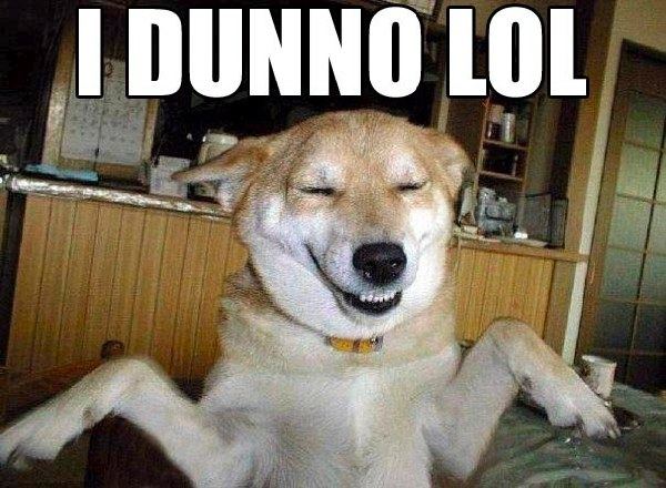 “LOL理論”是什么鬼？