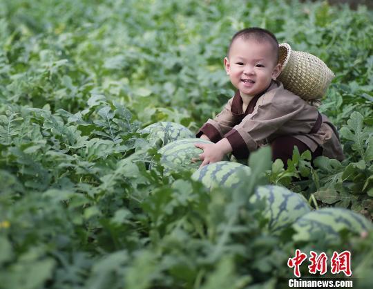 2歲萌娃吆喝自家西瓜 這個“瓜娃子”要火?。ńM圖）
