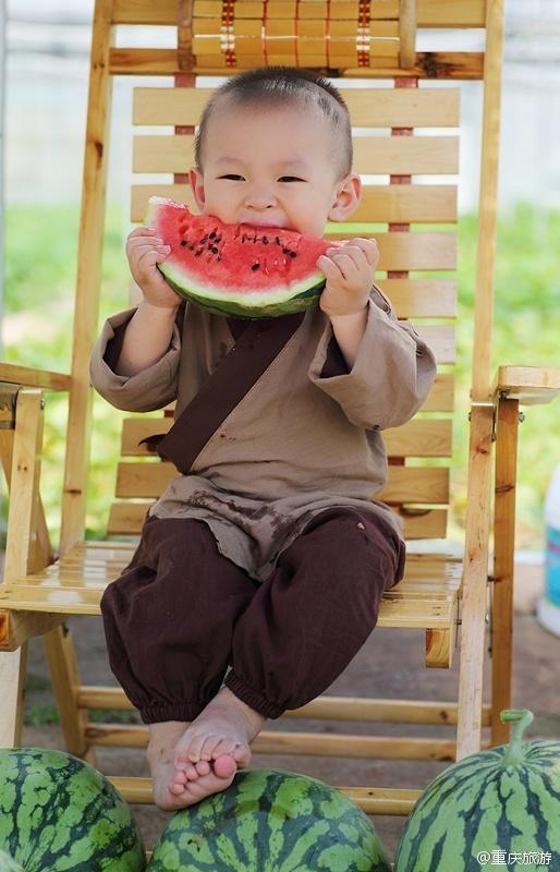 2歲萌娃吆喝自家西瓜 這個“瓜娃子”要火?。ńM圖）