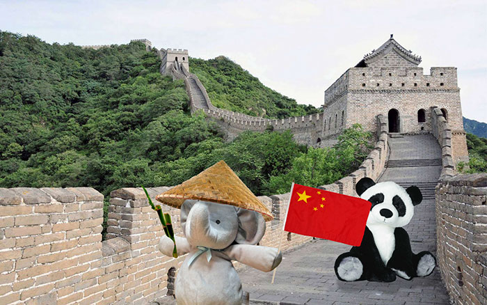 寶貝，你的小象不是丟了，而是去環(huán)游世界了（組圖）