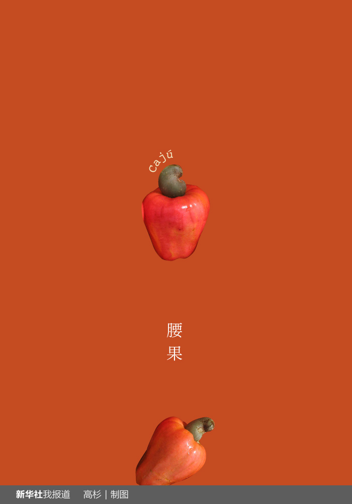 “瘋狂水果城”里約：給你點(diǎn)顏色瞧瞧！